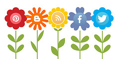 setting up website