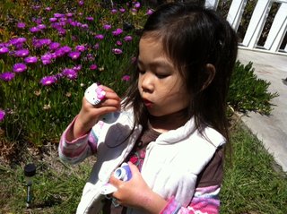 rsz_photo_2