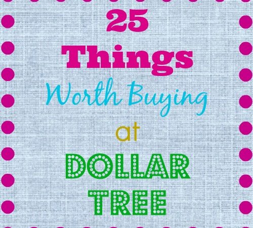 things worth buying dollar tree