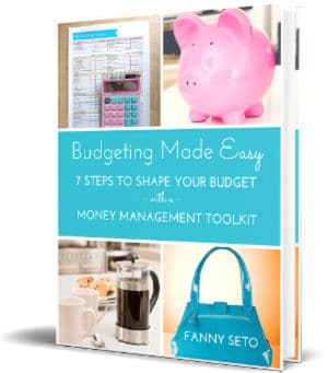 Budgeting Made Easy 3d