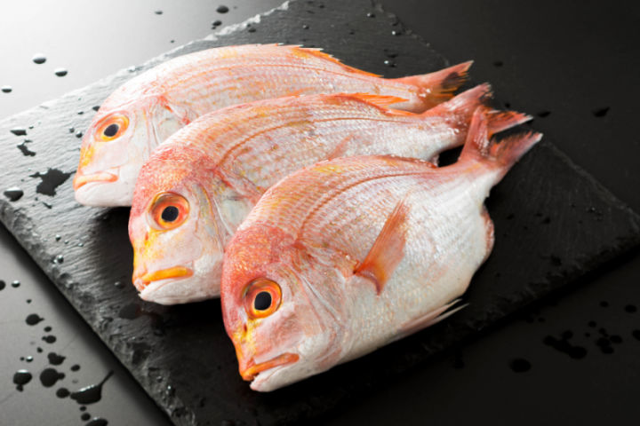 seabream fish