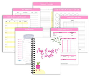 budget binder with 8 pages