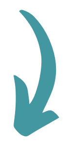 Untitled-design-16.png
