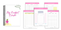 Mini Budget Binder Image (200 × 100 px)