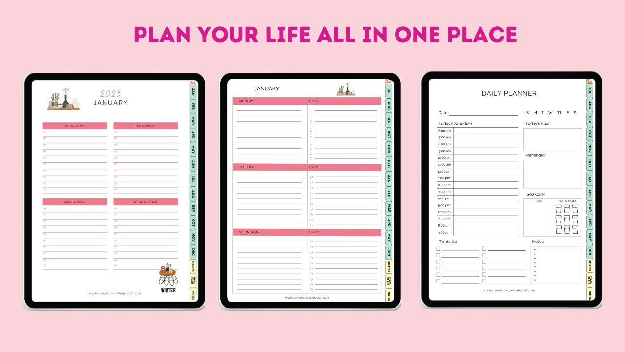 Digital iPad Planner (3)